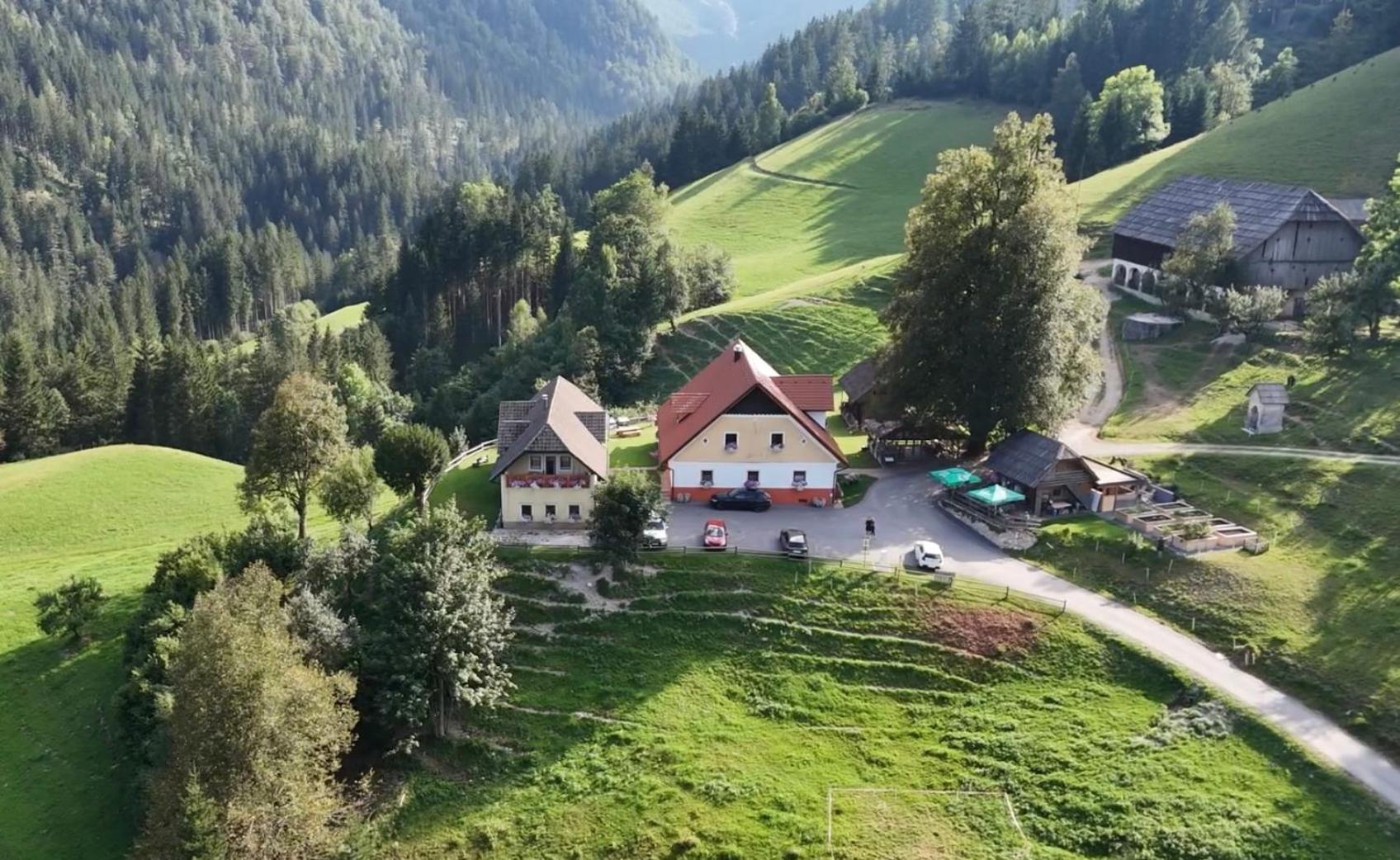 Tourist Farm Gradisnik Apartment Solcava Exterior photo
