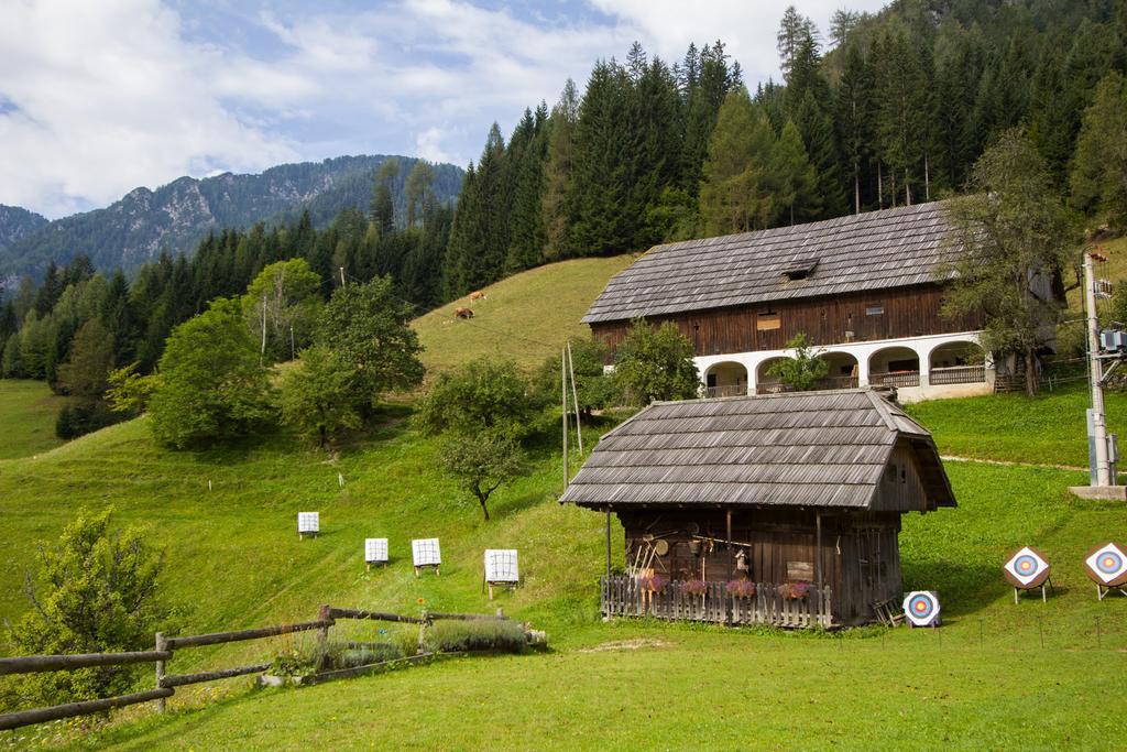 Tourist Farm Gradisnik Apartment Solcava Exterior photo